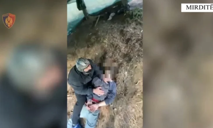 Zbulohet laborator droge në Mirditë/ Dy persona në pranga, sekuestrohen mbi 33 kg kanabis dhe 220 bimë narkotike