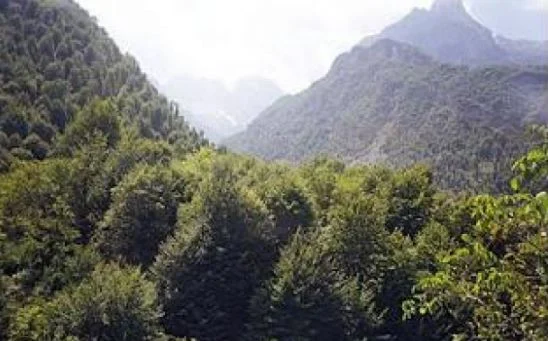 Zhduket pa gjurmë 26-vjeçari nga Tropoja/ Shkoi të mblidhte gështenja me nënën, shtohen kontrollet nga ajri me dron…