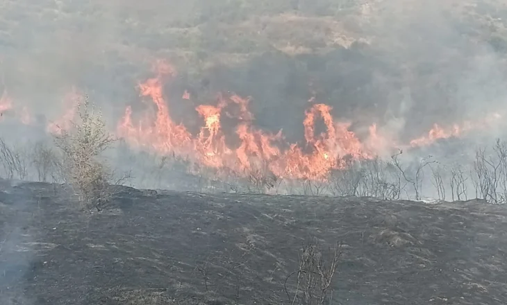 Zjarr i përmasave të mëdha në Fatisht të Peqinit