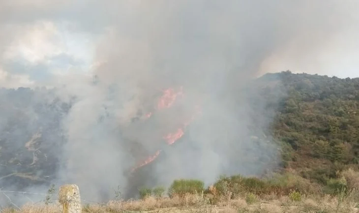 Zjarr masiv në fshatin Fatisht, flakët përfshijnë sipërfaqen e madhe me pemë frutore