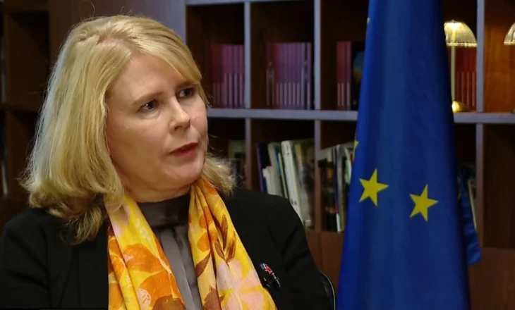 “350 mln euro për Shqipërinë! Bizneset të përgatiten për integrimin”, BE: Të përfitojnë nga plani i rritjes