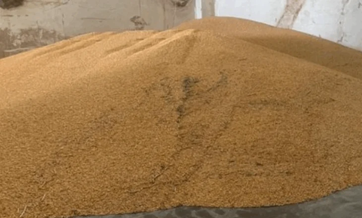 520 ton misër nga Serbia i  bllokuar në doganën e Hanit të Hotit, AKU: Rezultoi me aflatoksinë
