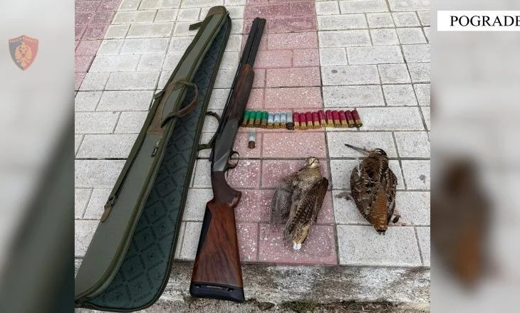 56-vjeçari, ‘bie në hetime’/ Goditet rasti i gjuetisë së paligjshme, gjenden edhe dy…