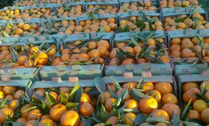 Alarm në Tiranë/ Analizat konfirmojnë se mandarinat e shitur  ishte kancerogjene