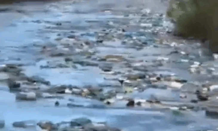Alarm nga Italia: Lumenjtë e Shqipërisë derdhin plastike drejt Adriatikut!