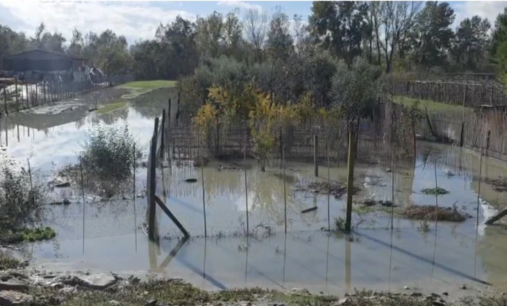Bien prurjet e lumenjve, nis evidentimi i dëmeve në bujqësi në Qarkun e Fierit