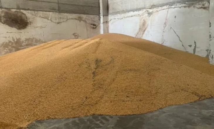 Bllokohen 520 ton misër në doganën e Hanit të Hotit, rrezikonte shëndetin e kafshëve