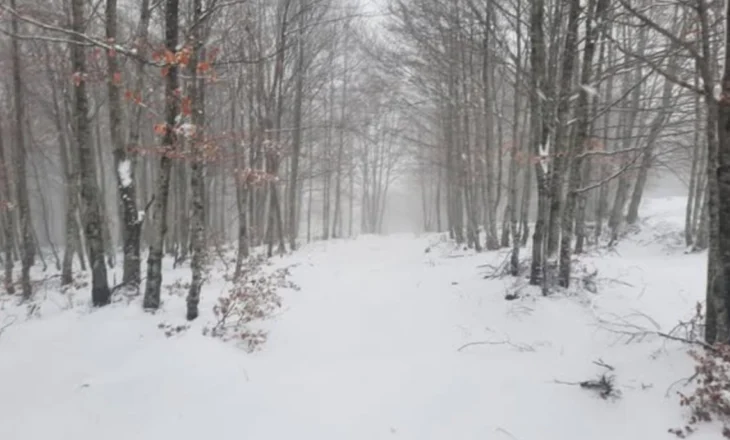 Bora e parë në majën e Bukanikut, në Gjinar