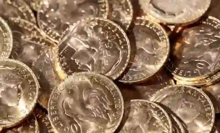 Burri në Francë gjen thesarin me ar në kopshtin e tij