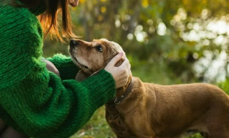 Çfarë ndjejnë qentë kur i përkëdhelim?