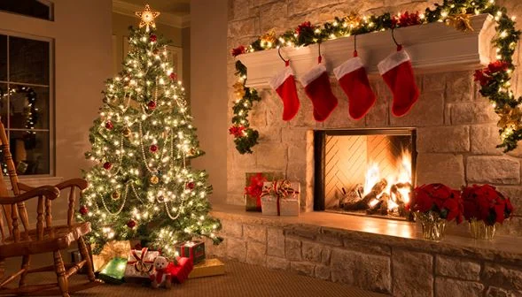 Çfarë thotë shkenca për ata që e vendosin herët bredhin e Vitit të Ri