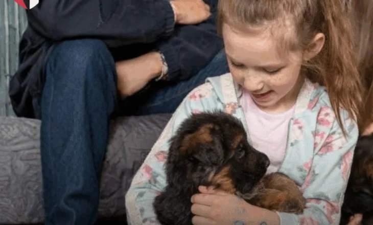 Danimarka me ligj të veçantë, fëmijët nga mosha 6 deri në 16 vjeç duhet të mësojnë në shkolla kujdesin ndaj kafshëve