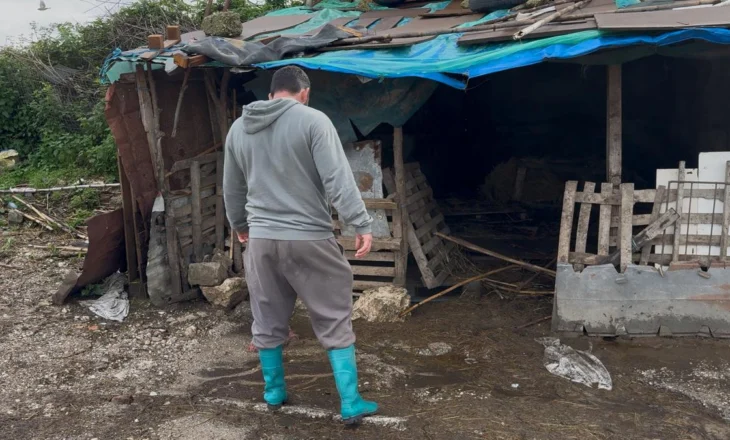 Dëme të mëdha nga përmbytjet në Sarandë, fermeri humb 226 krerë bagëti – VIDEO