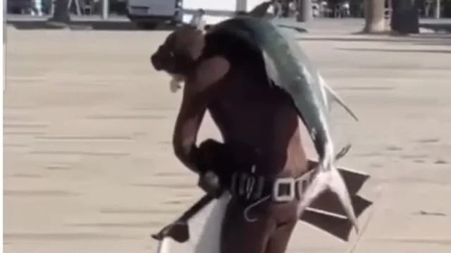 E rrallë në Vlorë/ Vlonjati kap peshkaqenin, e merr në krahë dhe e çon në shtëpi