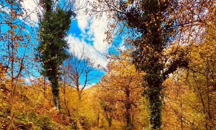 E shtuna me mot të kthjellët dhe vranësira kalimtare