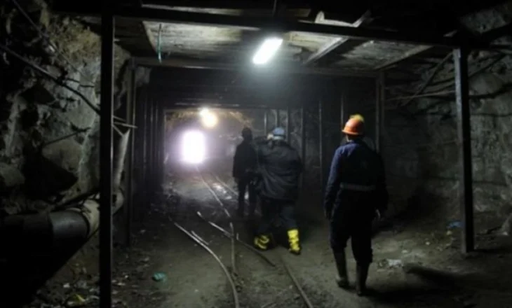 EMRI/ Humb jetën administratori i një subjekti minerar në Martanesh, shkoi për kontroll në galeri