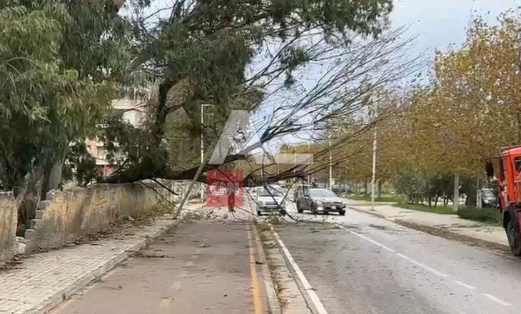 Era e fortë në Vlorë rrëzon pemët, bllokohen disa segmente rrugore