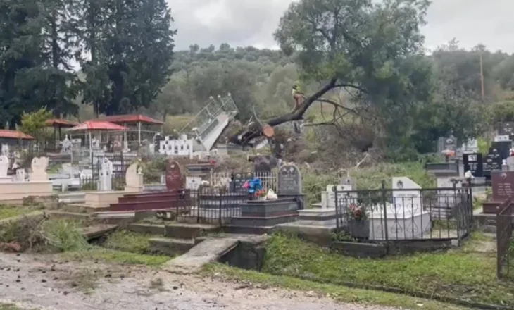 Era e fortë rrëzon pemën në varrezat e qytetit të Vlorës, dëmtohen disa varre