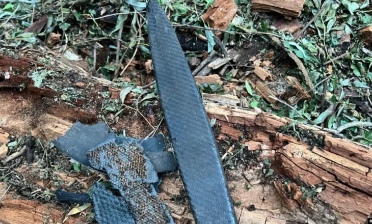 Evakuohet fshati rumun pas një sulmi rus në Danub