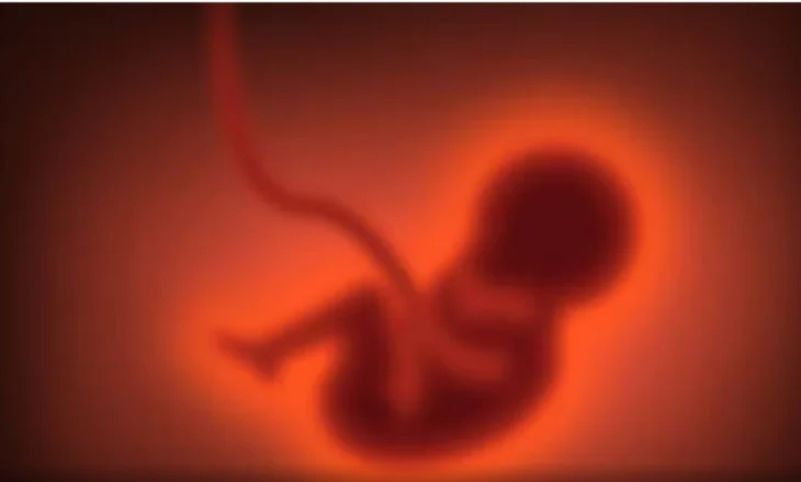 Fëmijë me porosi, në SHBA plasin polemikat për start-up e gjenetikës