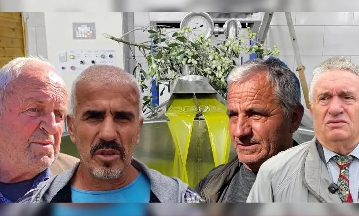 Fermerët paralajmërojnë më pak vaj ulliri në treg, rendiment i ulët, por cilësi e lartë