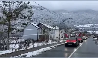 Festa e Flamurit në Plavë e Guci