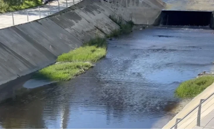 Fier – Ndotja e lumit Gjanica në nivele alarmante, qytetarët reagojnë të revoltuar