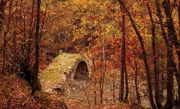 Fotolajm/ Borova në Kolonjë, ‘vishet’ me ngjyrat magjike të vjeshtës