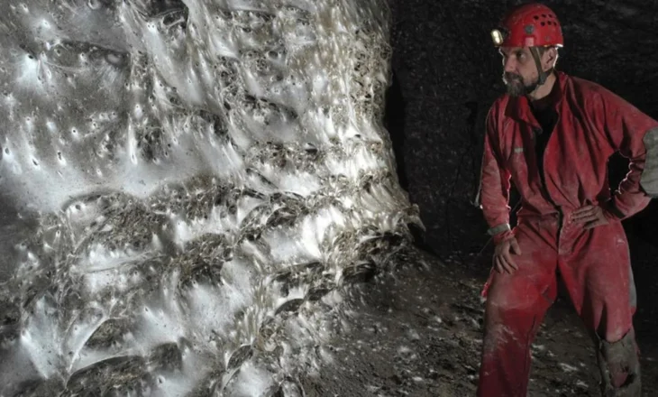 FOTOT/ E pazakontë, zbulohet rrjeta e merimangës më e madhe në botë dhe ndodhet në kufirin shqiptaro-grek!