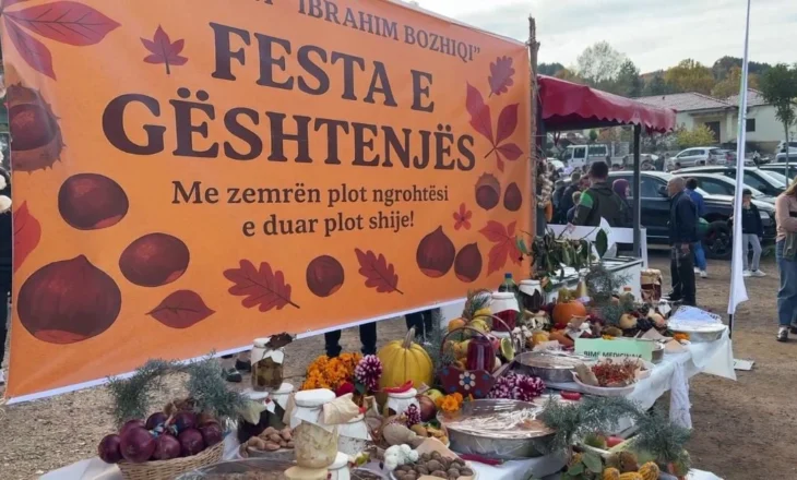 Fshati i gështenjave, në Labinot Mal të Elbasanit i gjithë prodhimi niset drejt Italisë