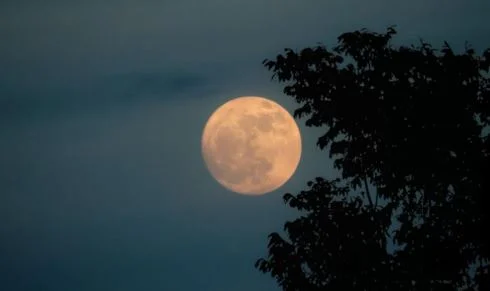 Hëna e plotë e 5 Nëntorit/ Ndryshime të mëdha për këto tre shenja të horoskopit