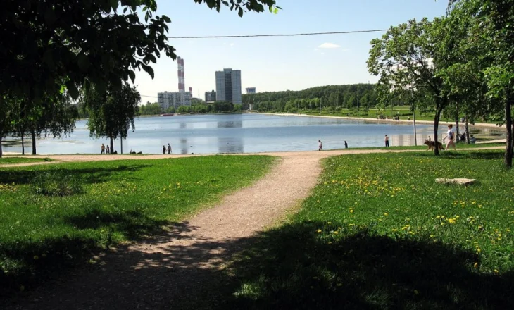 Horror në Rusi/ Ishte hedhur në një pellg, brenda çantës së shkollës gjenden pjesë të trupit të një fëmije