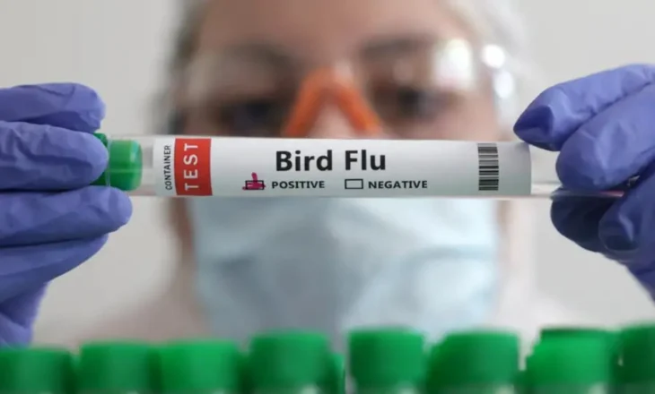 Humb jetë një person nga gripi i shpendëve në Uashington, rasti i parë i variantit të ri H5N5