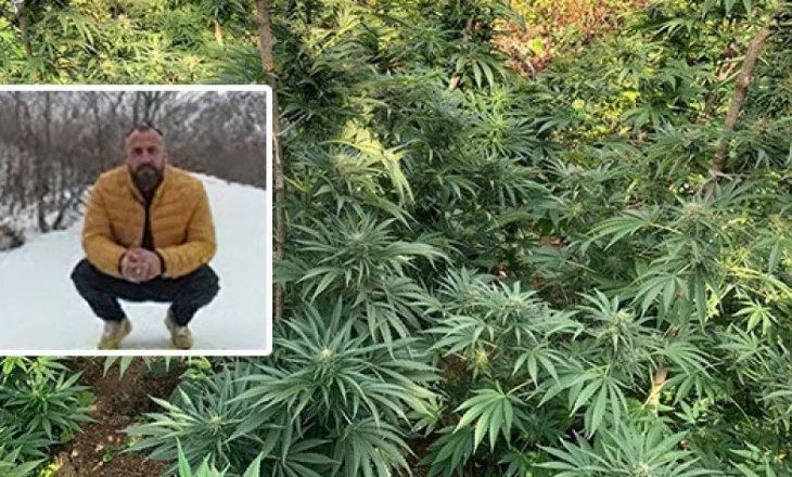 I biri u gjet i pajetë në humnerë, familja Çokaj kallëzim në AMP për 4 efektivë që raportuan rastin si aksident