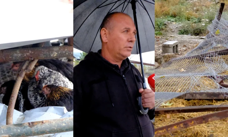 IMT nis shembjen e kotecëve në fshatrat e Tiranës, gjobit me miliona lekë banorët “kriminelë”