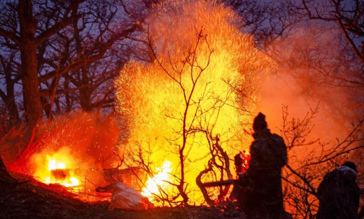 Irani kërkon ndihmë urgjente për luftimin e zjarrit në pyjet e veta antike