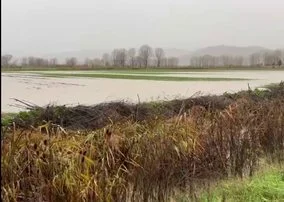 “Jemi në katastrofë”/ Moti i keq ‘paralizon’ vendin 15 hektarë nën ujë në qarkun e Korçës, reagojnë fermerët: Lekët dëm