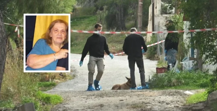 Krim horror/ Nusja e varur nga kumari masakron vjehrrën për t’i grabitur paratë