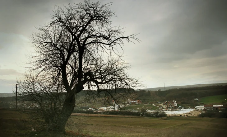 Legjendë popullore: Djali që mësoi gjuhën e kafshëve