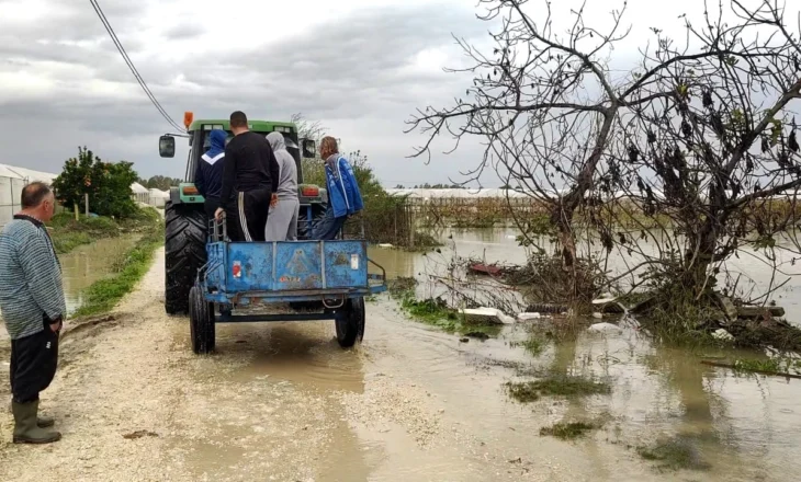 Lumi Seman doli nga shtrati, shkatërrohen mijëra hektarë sera të mbjella me perime, banorët: Dëmet arrijnë në miliona