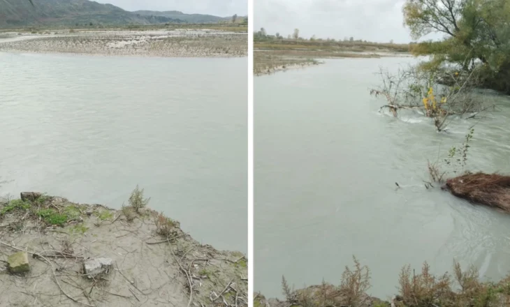 Lumi Vjosa në Kashisht, Fier mbetet në gjendje normale pavarësisht intensitetit të reshjeve.