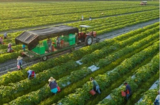 Malaj: 15 milionë euro për fermerët në 2026-ën