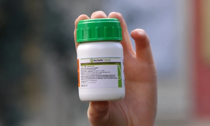 Mandarinat me helm, AKU hesht/ Analizat konfirmojnë se sasia e shitur në Tiranë ishte kancerogjene