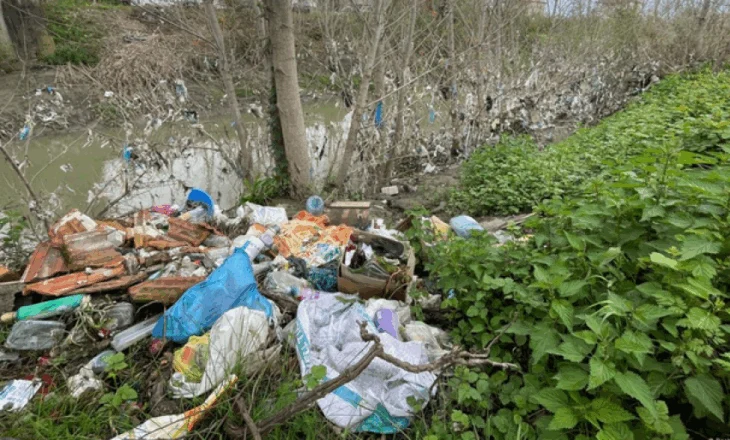 Mblidhnin mbeturinat me dorë, punonjësi dëmtohet gjatë punës, shtrohet në repartin e kirurgjisë