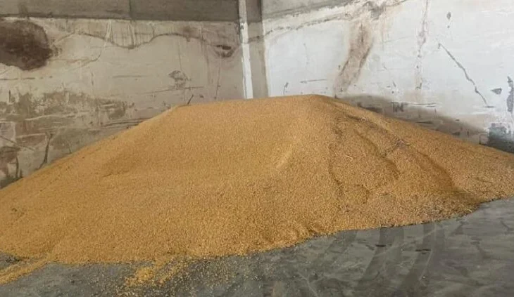 Misri serb, bllokohen 520 ton të tjera në doganën e Hanit të Hotit