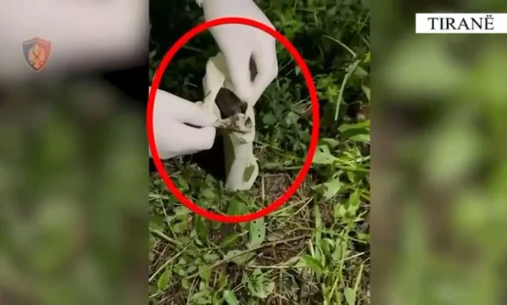 Morën peng të riun dhe e dhunuan për 5 mijë euro, identifikohen 5 autorët, arrestohen 2 prej tyre