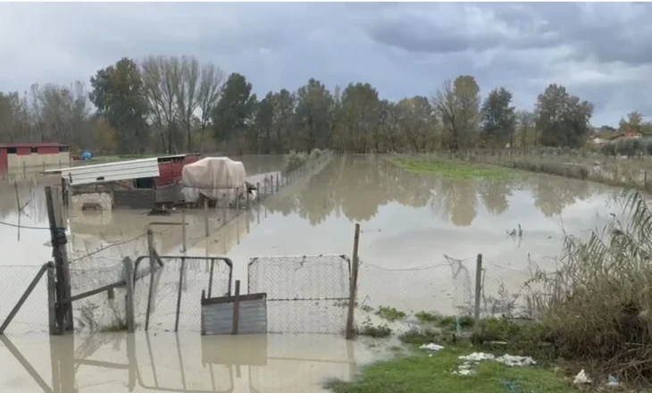 Moti i keq/ Dëme në 7 qarqe të vendit, afro 1000 banesa të përmbytura, parandaluam një katastrofë në Shkodër