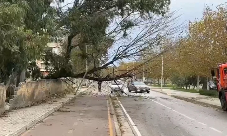 Moti i keq godet Vlorën, era e fortë rrëzon pemët, bllokohet rruga në Plazhin e Vjetër