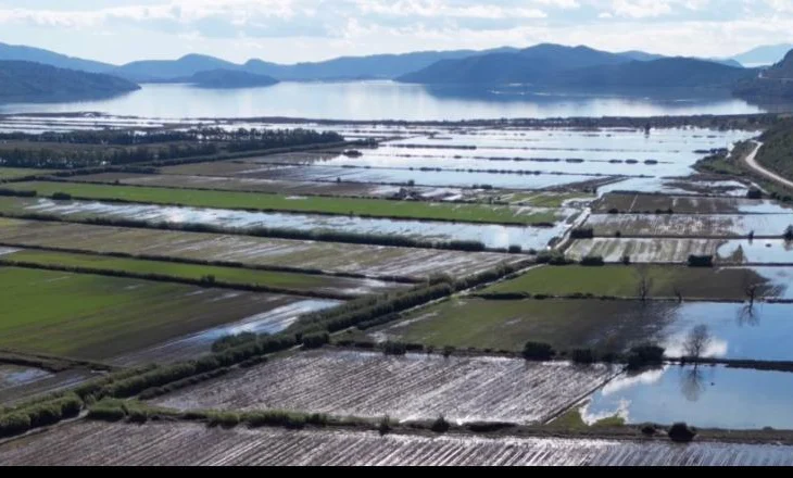 Moti i keq në Sarandë, drejtuesi i Emergjencave në bashki: Rreth 700 krerë bagëti të mbytura, dëme edhe në bujqësi