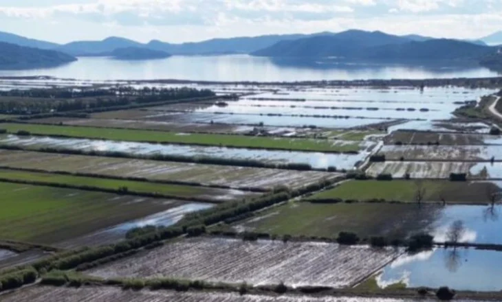 Moti i keq në Sarandë, rreth 700 krerë bagëti të mbytura, dëme edhe në bujqësi